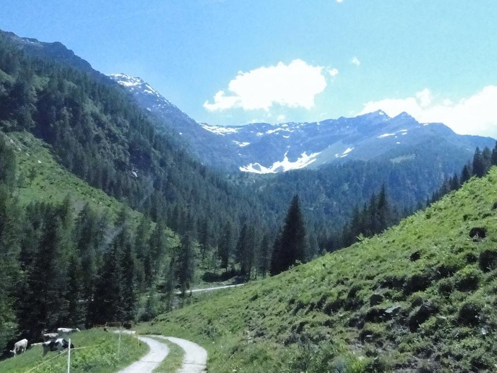 Hotel Chalet Val Di Rabbi Eksteriør billede